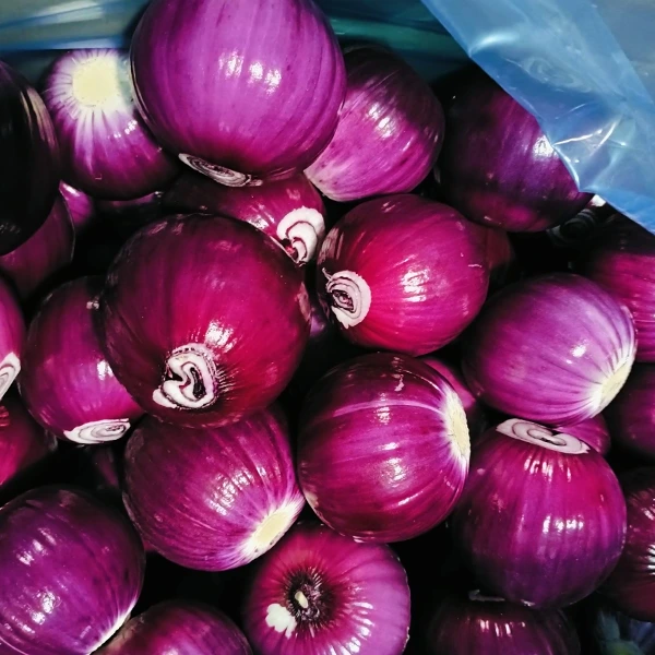 Huaang Food Processing dobiva tržišni udio uz stabilnu kvalitetu