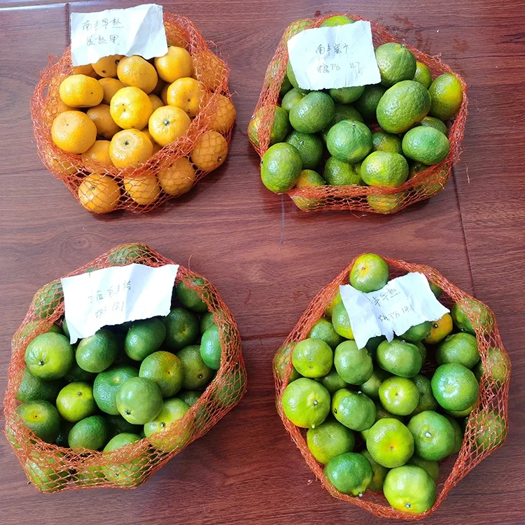 Mandarina od svježeg meda