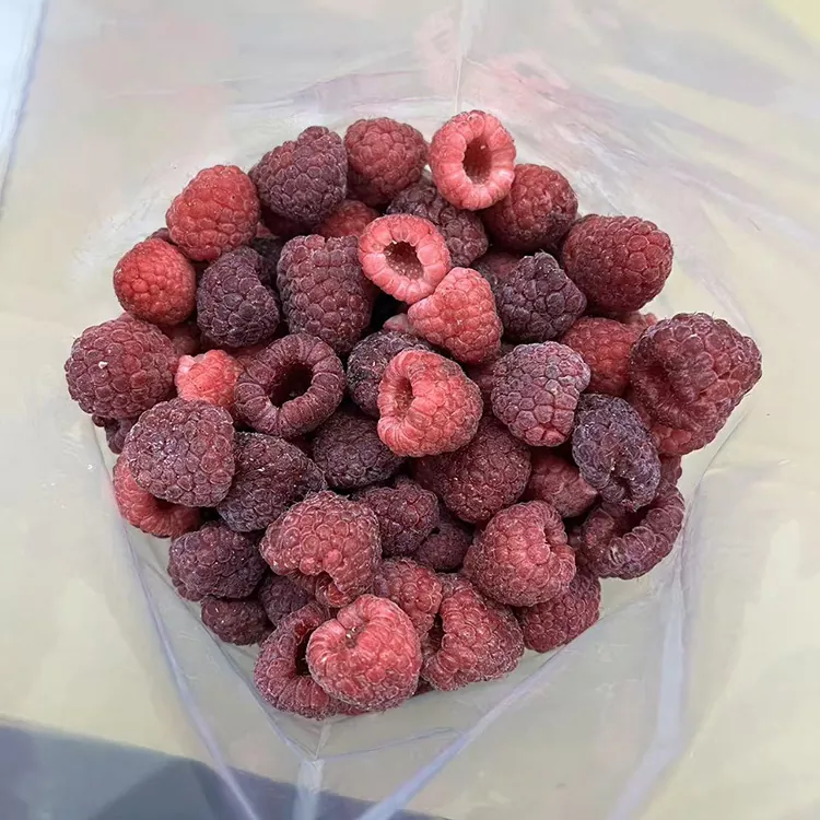 Premium IQF cijela smrznuta crvena malina
