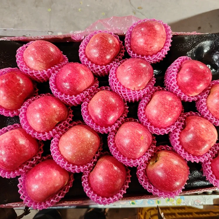 Vrhunske svježe jabuke Jiguan